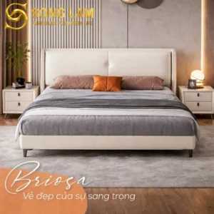 Giường Ngủ Bọc Nệm Hiện Đại Briosa GM0115 - Ảnh 2