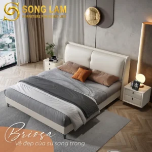 Giường Ngủ Bọc Nệm Hiện Đại Briosa GM0115 - Ảnh 1