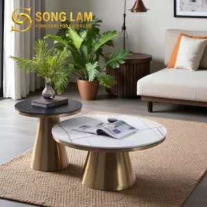 Bàn Trà Đôi Mặt Tròn Kim Loại Orbit TS22113 - Ảnh 7