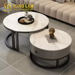 Bàn Trà Đôi Mặt Tròn Hiện Đại Zen TS22211 - Ảnh 1