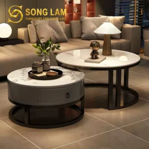 Bàn Trà Đôi Mặt Tròn Hiện Đại Zen TS22211 - Ảnh 2