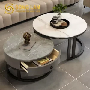 Bàn Trà Đôi Mặt Tròn Hiện Đại Zen TS22211 - Ảnh 6