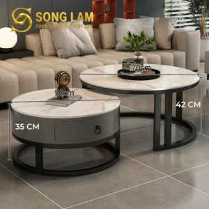Bàn Trà Đôi Mặt Tròn Hiện Đại Zen TS22211 - Ảnh 3